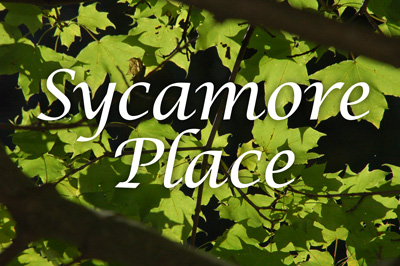 Sycamore Place Image